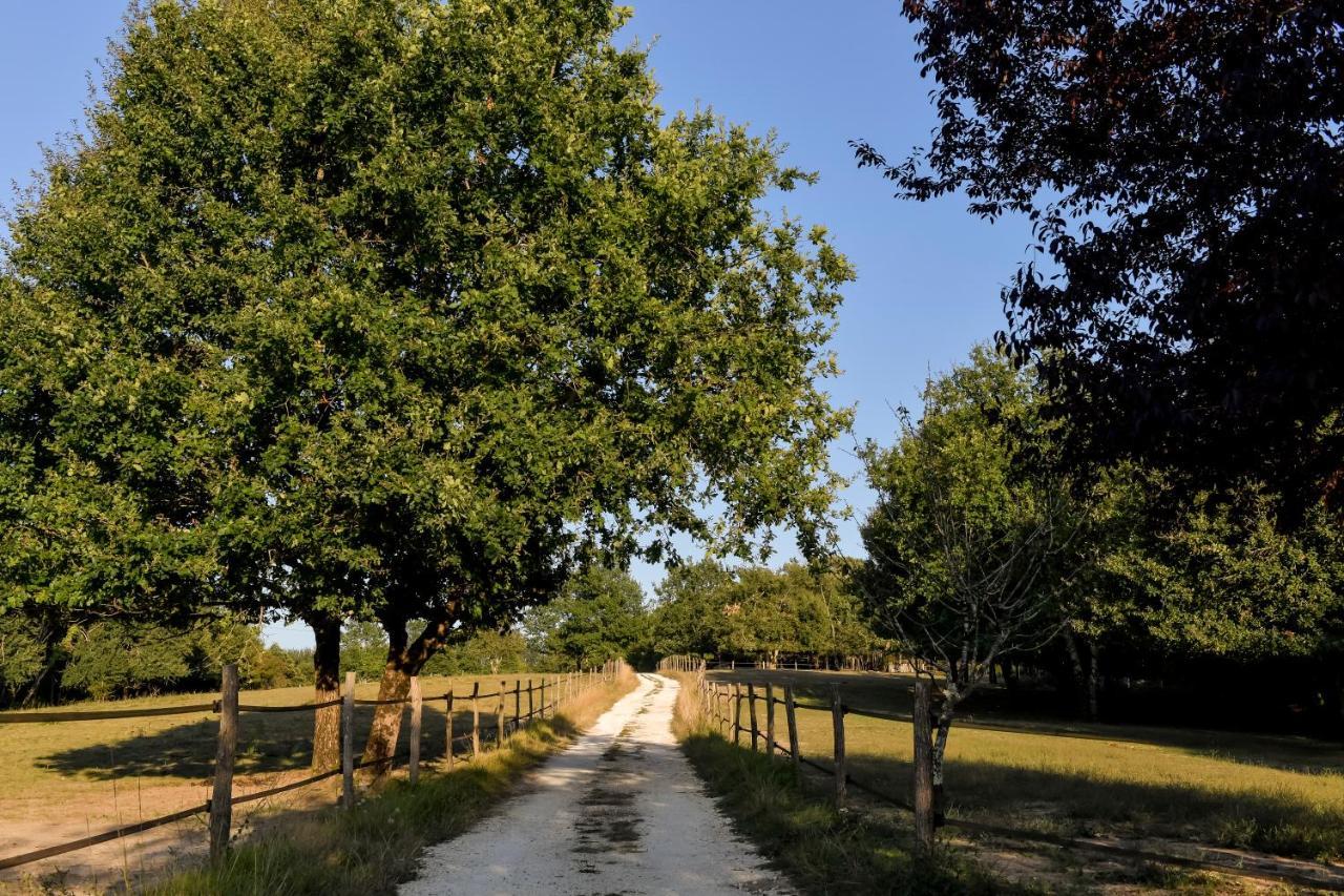 Domaine Verte Vallee Lignan-de-Bordeaux Bagian luar foto
